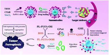 Graphical abstract: Targeted GSH-exhausting and hydroxyl radical self-producing manganese–silica nanomissiles for MRI guided ferroptotic cancer therapy