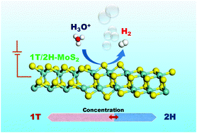 Graphical abstract: Hybrid phase 1T/2H-MoS2 with controllable 1T concentration and its promoted hydrogen evolution reaction