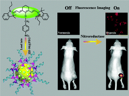 Graphical abstract: A ZIF-90 nanoplatform loaded with an enzyme-responsive organic small-molecule probe for imaging the hypoxia status of tumor cells