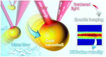 Graphical abstract: Investigation of the concentration- and temperature-dependent motion of colloidal nanoparticles