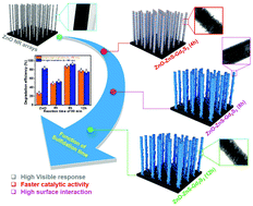 Graphical abstract: A radially controlled ZnS interlayer on ultra-long ZnO–Gd2S3 core–shell nanorod arrays for promoting the visible photocatalytic degradation of antibiotics