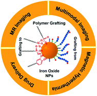 Graphical abstract: Surface engineering of magnetic iron oxide nanoparticles by polymer grafting: synthesis progress and biomedical applications