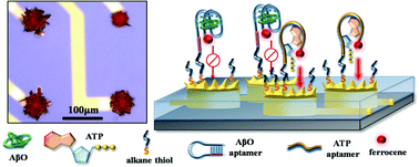 Graphical abstract: Electrochemical dual-aptamer biosensors based on nanostructured multielectrode arrays for the detection of neuronal biomarkers