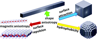 Graphical abstract: Assembly of nanocube super-structures directed by surface and magnetic interactions