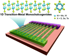 Graphical abstract: 1D topological phases in transition-metal monochalcogenide nanowires
