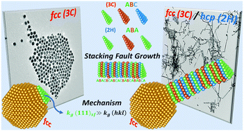 Graphical abstract: Gold nanowire growth through stacking fault mechanism by oleylamine-mediated synthesis