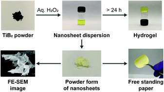 Graphical abstract: Processable dispersions of photocatalytically active nanosheets derived from titanium diboride: self assembly into hydrogels and paper-like macrostructures