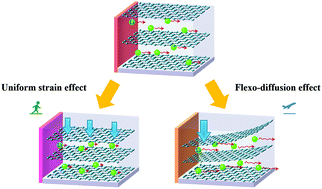 Graphical abstract: Strong influence of strain gradient on lithium diffusion: flexo-diffusion effect