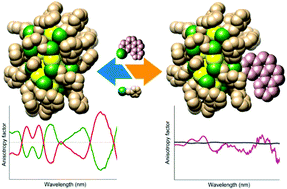 Graphical abstract: Ligand exchange reactions on the chiral Au38 cluster: CD modulation caused by the modification of the ligand shell composition
