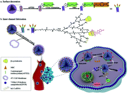 Graphical abstract: Hierarchical integration of degradable mesoporous silica nanoreservoirs and supramolecular dendrimer complex as a general-purpose tumor-targeted biomimetic nanoplatform for gene/small-molecule anticancer drug co-delivery