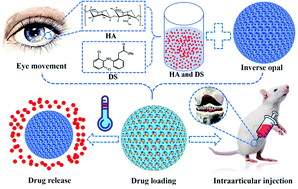 Graphical abstract: Bio-inspired lubricant drug delivery particles for the treatment of osteoarthritis