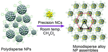 Graphical abstract: Atom transfer between precision nanoclusters and polydispersed nanoparticles: a facile route for monodisperse alloy nanoparticles and their superstructures