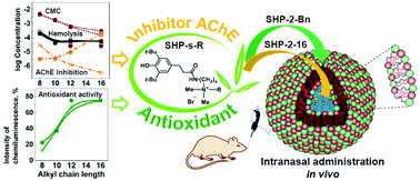 Graphical abstract: Bi-functional sterically hindered phenol lipid-based delivery systems as potential multi-target agents against Alzheimer's disease via an intranasal route