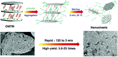 Graphical abstract: Rapid and high-concentration exfoliation of montmorillonite into high-quality and mono-layered nanosheets