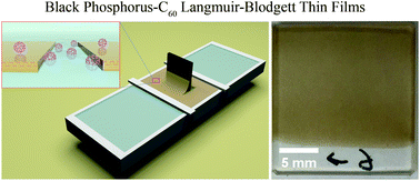 Graphical abstract: Langmuir–Blodgett fabrication of large-area black phosphorus-C60 thin films and heterojunction photodetectors