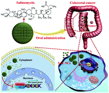 Graphical abstract: Salinomycin nanocrystals for colorectal cancer treatment through inhibition of Wnt/β-catenin signaling