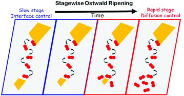 Graphical abstract: Real-time atomistic simulation of the Ostwald ripening of TiO2 supported Au nanoparticles