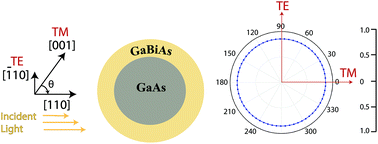 Graphical abstract: Tunable bandgap and isotropic light absorption from bismuth-containing GaAs core–shell and multi-shell nanowires