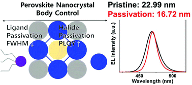 Graphical abstract: Origin of the luminescence spectra width in perovskite nanocrystals with surface passivation