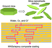 Graphical abstract: Superior to graphene: super-anticorrosive natural mica nanosheets