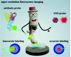 Graphical abstract: Development of small molecule inhibitor-based fluorescent probes for highly specific super-resolution imaging