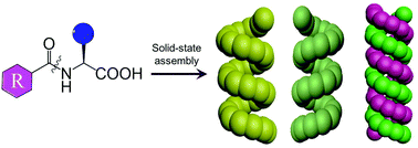 Graphical abstract: Supramolecular secondary helical structures in solid-state N-protected amino acids