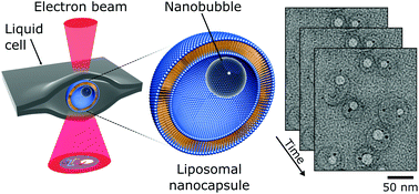Graphical abstract: Hybrid nanocapsules for in situ TEM imaging of gas evolution reactions in confined liquids