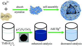 Graphical abstract: In situ growth of CeO2 on g-C3N4 nanosheets toward a spherical g-C3N4/CeO2 nanozyme with enhanced peroxidase-like catalysis: a selective colorimetric analysis strategy for mercury(ii )