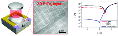 Graphical abstract: Large-area 2D PtTe2/silicon vertical-junction devices with ultrafast and high-sensitivity photodetection and photovoltaic enhancement by integrating water droplets