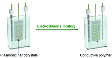 Graphical abstract: Electrochemical coating of different conductive polymers on diverse plasmonic metal nanocrystals