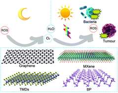 Graphical abstract: Recent advances in ultrathin two-dimensional materials and biomedical applications for reactive oxygen species generation and scavenging