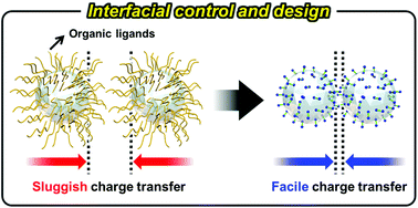 Graphical abstract: Interfacial control and design of conductive nanomaterials for transparent nanocomposite electrodes