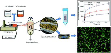 Graphical abstract: Nanonet-nano fiber electrospun mesh of PCL–chitosan for controlled and extended release of diclofenac sodium