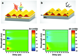Graphical abstract: A spatially pinned surface plasmon through short-circuiting electronic oscillation in waveguide-sustained SPPs