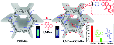 Graphical abstract: A novel fluorescent covalent organic framework containing boric acid groups for selective capture and sensing of cis-diol molecules