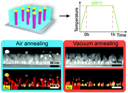 Graphical abstract: Thermal stability of self-assembled ordered three-phase Au–BaTiO3–ZnO nanocomposite thin films via in situ heating in TEM