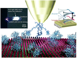 Graphical abstract: Visualization of molecular binding sites at the nanoscale in the lift-up mode by amplitude-modulation atomic force microscopy