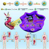 Graphical abstract: A multifunctional SN38-conjugated nanosystem for defeating myelosuppression and diarrhea induced by irinotecan in esophageal cancer