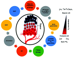 Graphical abstract: Advanced nanomaterials for hypoxia tumor therapy: challenges and solutions