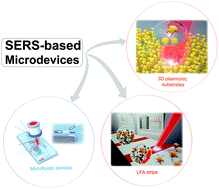 Graphical abstract: Recent advances in surface-enhanced Raman scattering-based microdevices for point-of-care diagnosis of viruses and bacteria