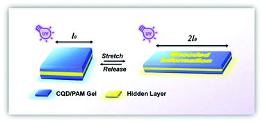 Graphical abstract: Imidazolium-type ionic liquid-based carbon quantum dot doped gels for information encryption
