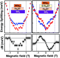Graphical abstract: Antiferromagnetic proximity coupling between semiconductor quantum emitters in WSe2 and van der Waals ferromagnets
