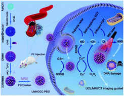 Graphical abstract: An all-in-one theranostic nanoplatform based on upconversion dendritic mesoporous silica nanocomposites for synergistic chemodynamic/photodynamic/gas therapy