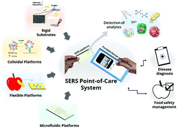 Graphical abstract: Towards a point-of-care SERS sensor for biomedical and agri-food analysis applications: a review of recent advancements