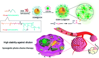 Graphical abstract: Using copper sulfide nanoparticles as cross-linkers of tumor microenvironment responsive polymer micelles for cancer synergistic photo-chemotherapy