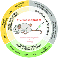 Graphical abstract: Research advances in integrated theranostic probes for tumor fluorescence visualization and treatment