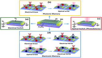 Graphical abstract: Optical control of ferroelectric switching and multifunctional devices based on van der Waals ferroelectric semiconductors