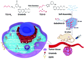 Graphical abstract: Designed DNA nanostructure grafted with erlotinib for non-small-cell lung cancer therapy