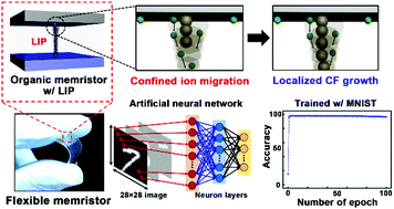 Graphical abstract: Reliable organic memristors for neuromorphic computing by predefining a localized ion-migration path in crosslinkable polymer