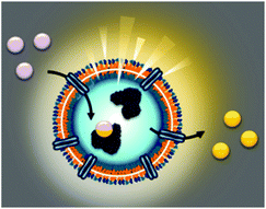 Graphical abstract: Catalytic polymersomes to produce strong and long-lasting bioluminescence